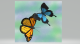 可愛い蝶の描き方