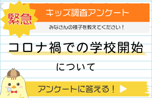 皆さんは何カップ キッズなんでも相談 キッズ Nifty