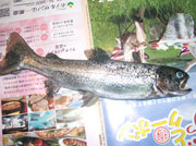 作り方3