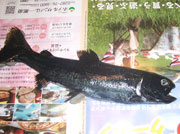 作り方7