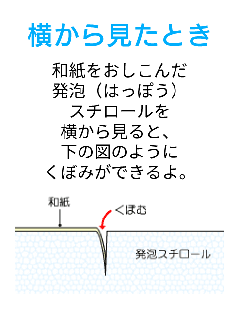 横から見た時