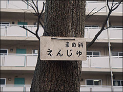 作り方4