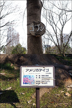 作り方5