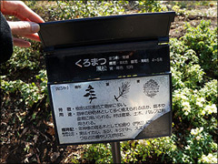 まとめ方のヒント1