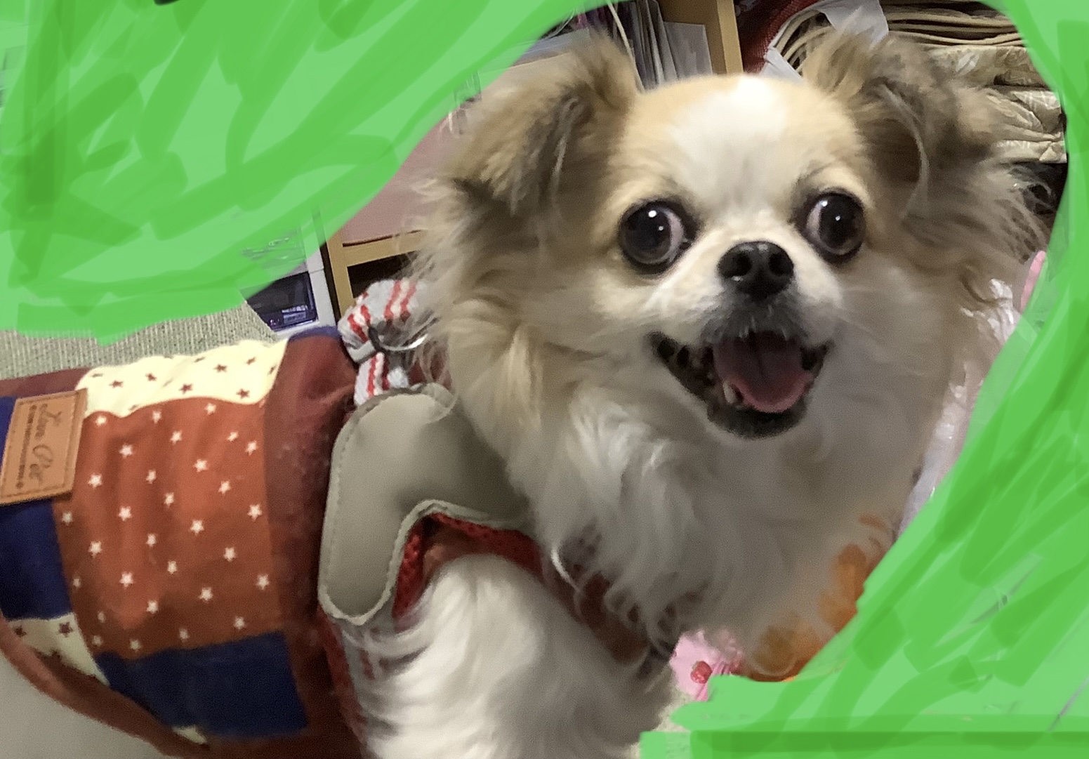 家の天使のさっちゃん！！