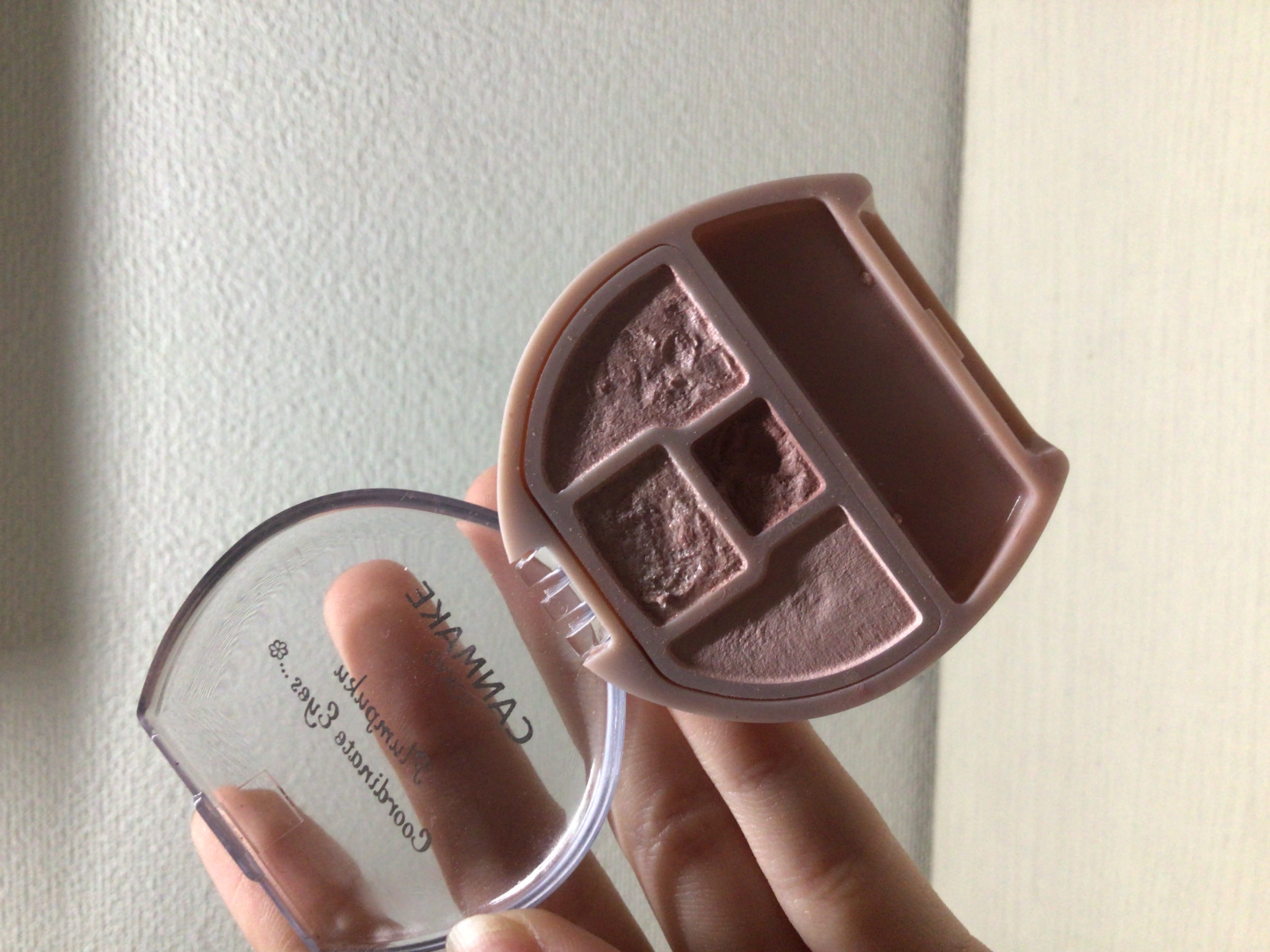 ｼﾛさんの写真