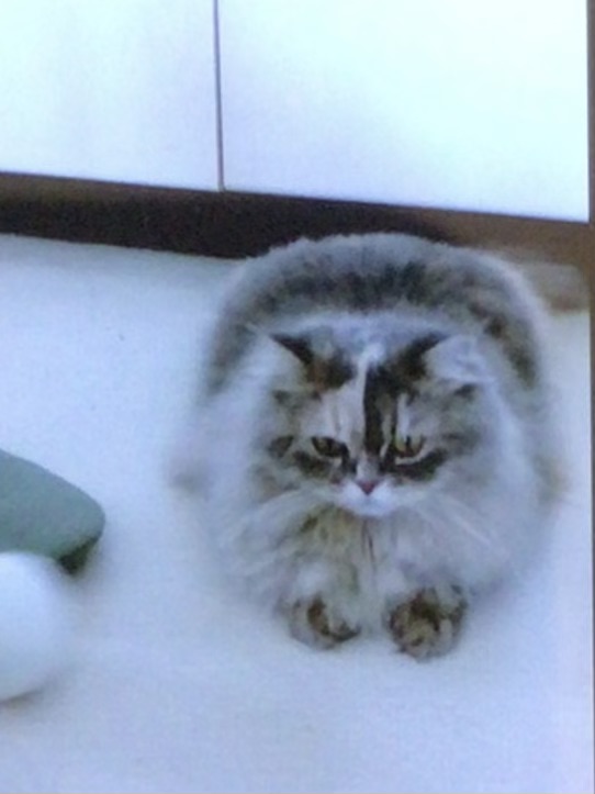 赤福(あかふく)