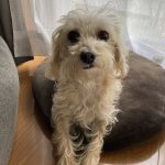 マルックスの咲良だよ！