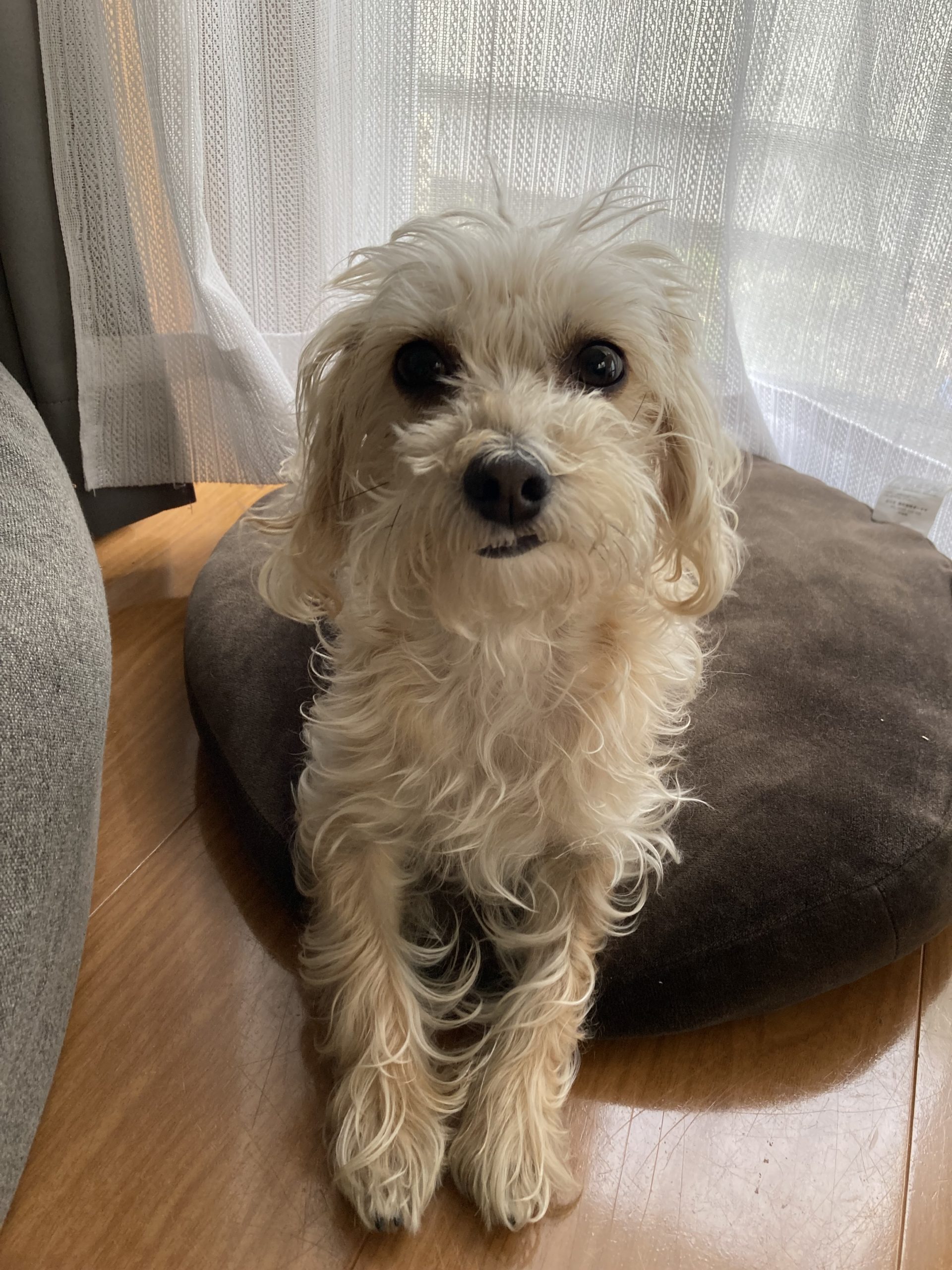 マルックスの咲良だよ！