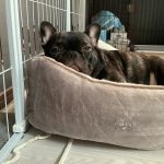 うちの子⌖꙳𓂃‪𓈒𓏸𓐍