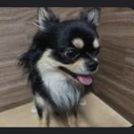 ✞空愛(くう)✞