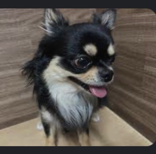 ✞空愛(くう)✞