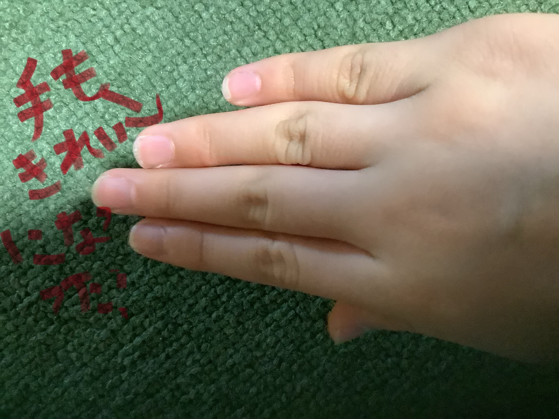 さわわさんの写真