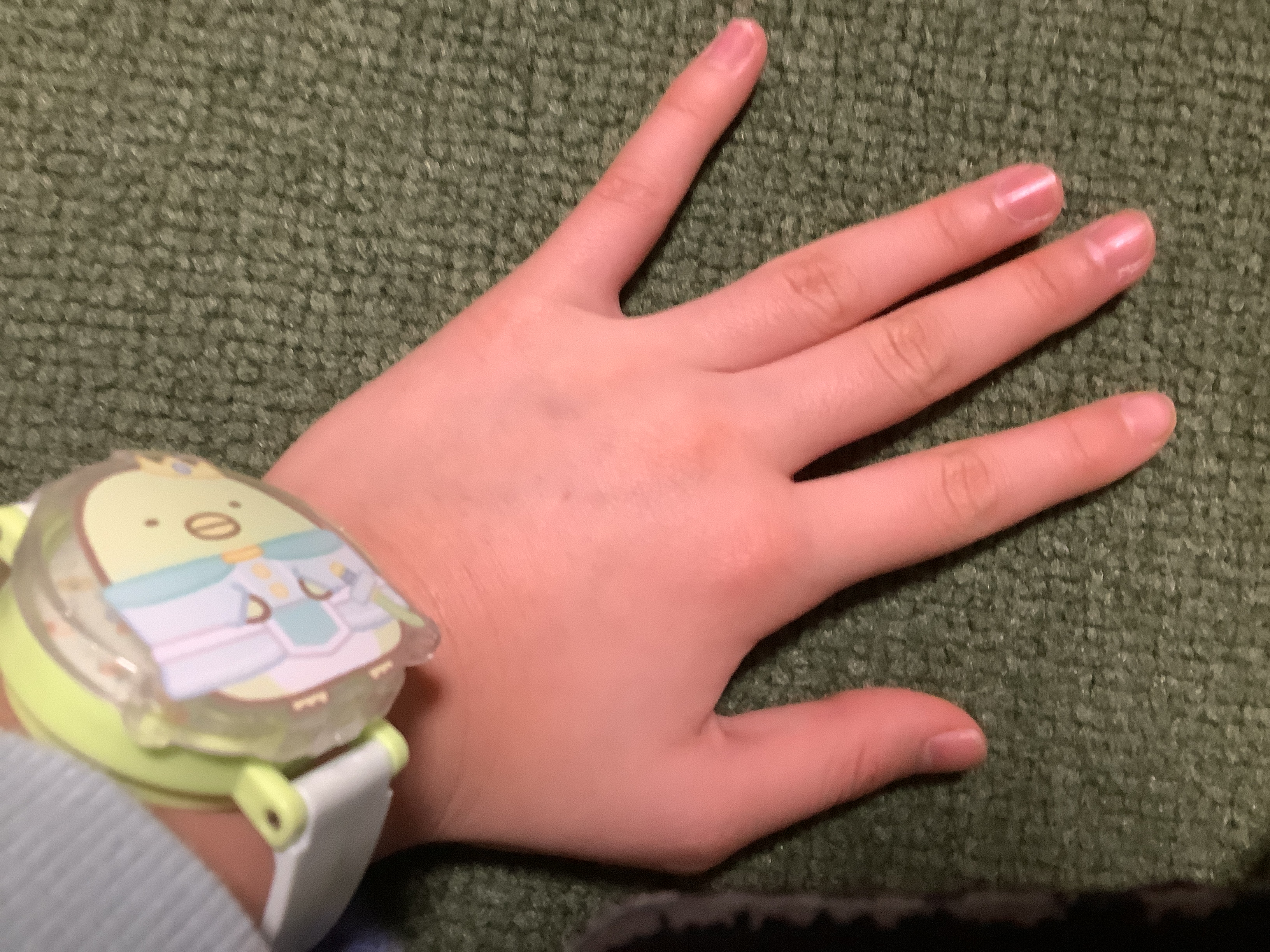 さわわさんの写真