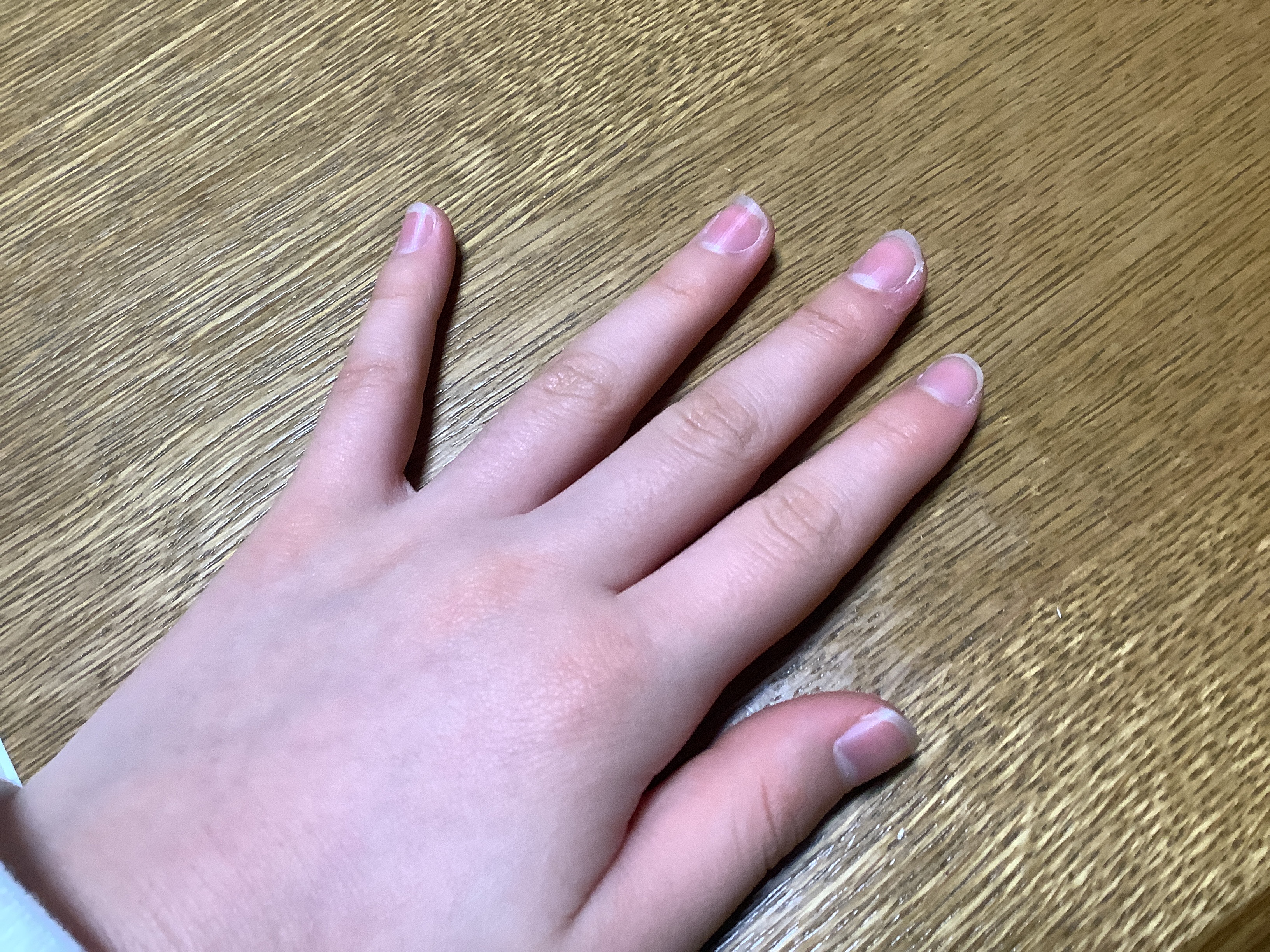 さわわさんの写真