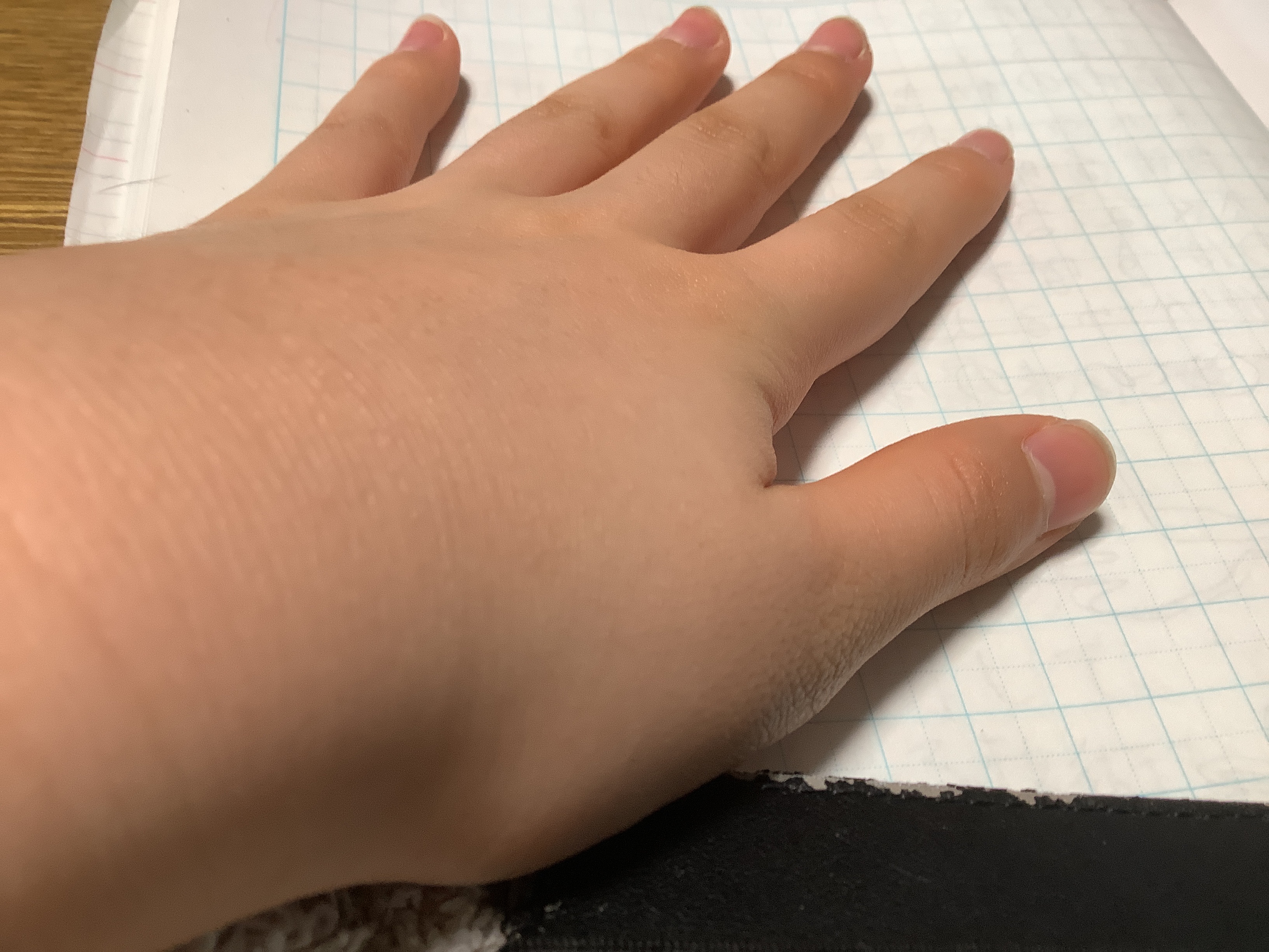 さわわさんの写真