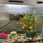 女の子全員仲良いね〜