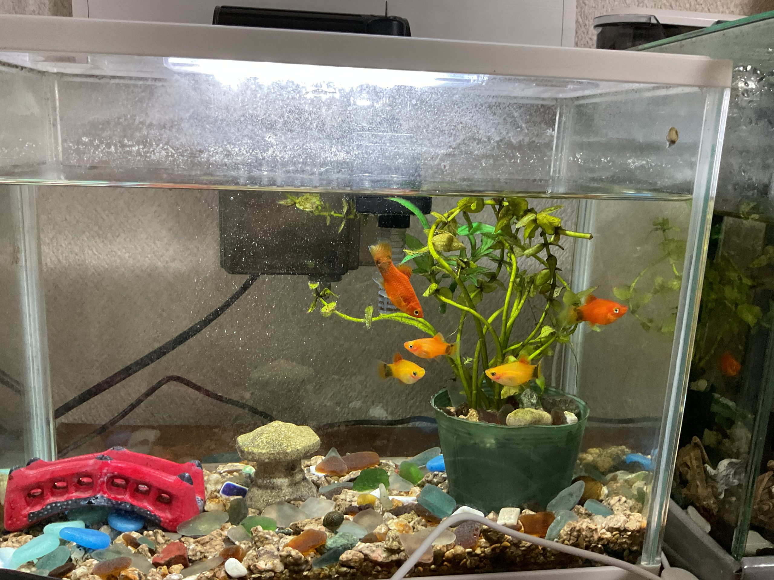 女の子全員仲良いね〜