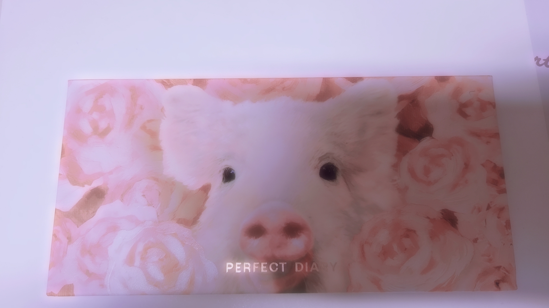 エクスプローラ 12色動物アイシャドウパレット